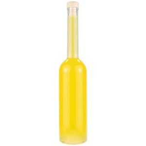 Steklenica FENICE 700 ml s pokrovčkom